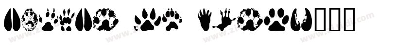 ANIMAL YH BOLD字体转换